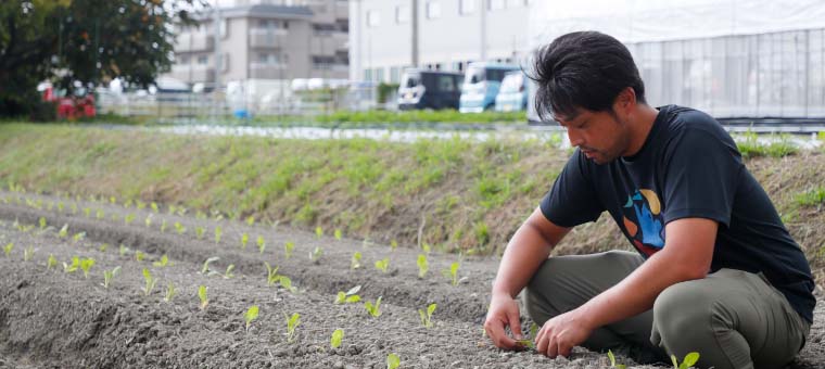 写真：畑作業をする松永さん
