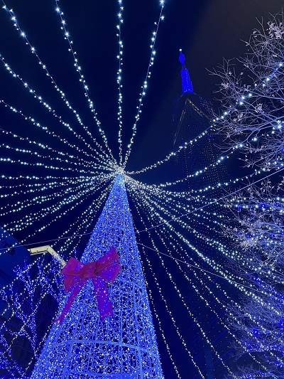 アイススケーティングパーク