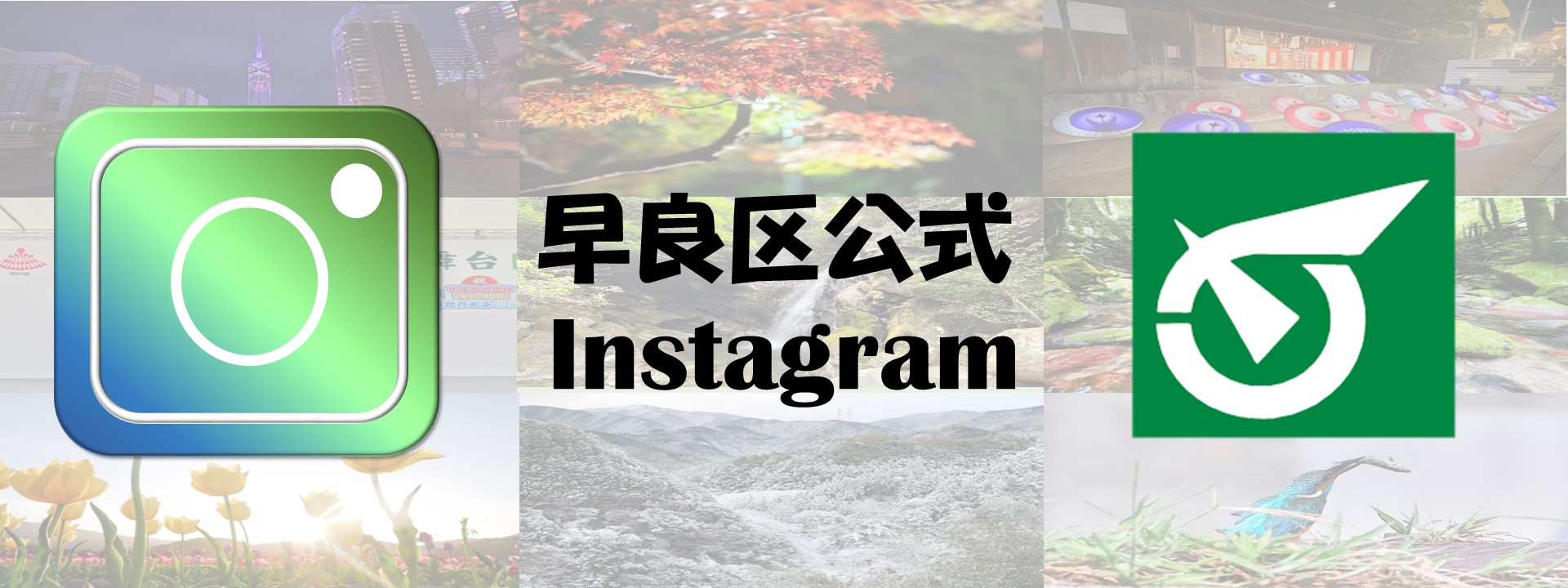 区公式Instagram
