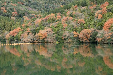 曲渕ダムに反射する紅葉１