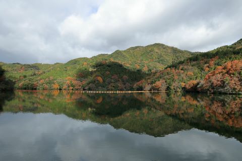 曲渕ダムに反射する紅葉２
