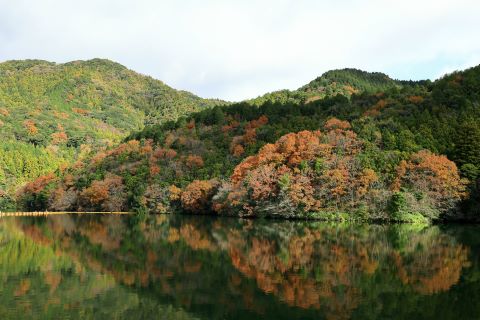 曲渕ダムに反射する紅葉３