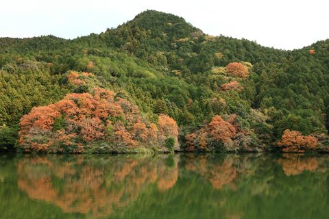 曲渕ダムに反射する紅葉４