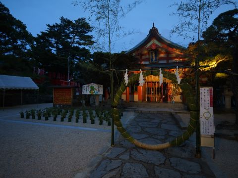 紅葉八幡宮茅の輪３