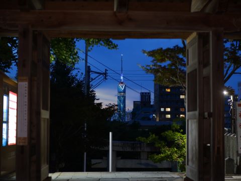 紅葉八幡宮茅の輪５