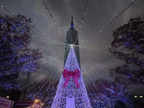 福岡タワー　光のツリー