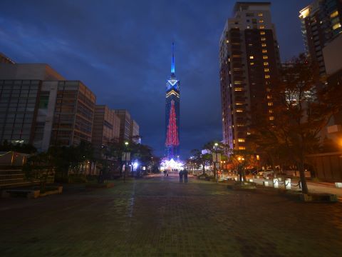 福岡タワーツリーイルミ