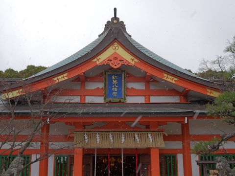 紅葉八幡宮拝殿