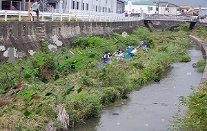 室見川清掃の写真