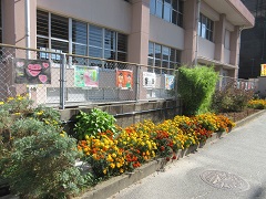 大原花壇４