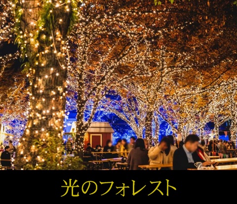 幻想的なフォトスポットが会場のあちこちに設置された天神中央公園の会場