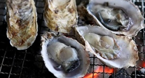 濃厚なプリップリの身で大きく育った「唐泊恵比須かき」