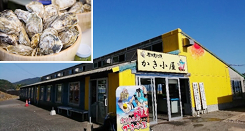 黄色の看板が目印！福岡市が誇るブランド水産物「唐泊恵比須かき」を取り扱ってい「かき小屋」