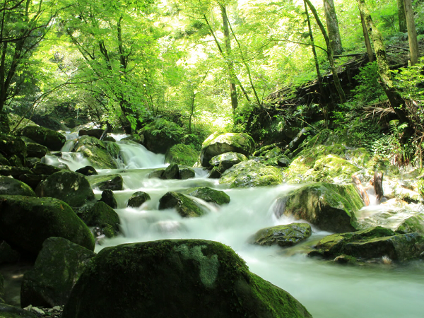 テスト画像ですテスト画像ですテスト画像です