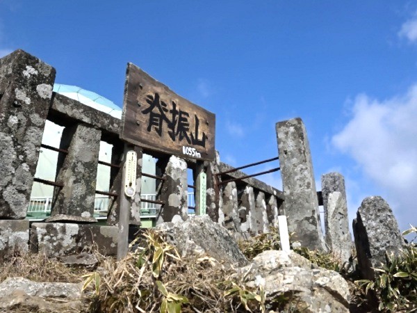 テスト画像ですテスト画像ですテスト画像です