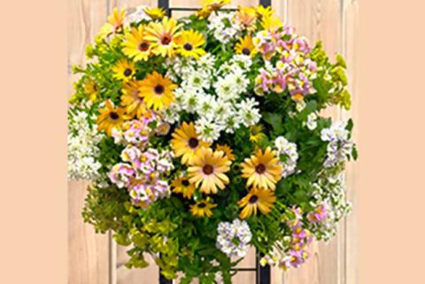 花々のハーモニーと立体的なデザインが織りなすハンギングバスケットの作品