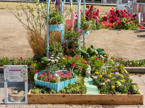 市民団体の皆さん等が作庭する花壇コンテストに展示された、彩り豊かなの花の寄せ植え