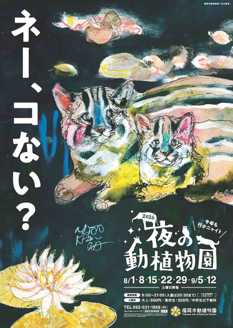 北村直登さんのイラストが入った「夜の動植物園」のチラシ画像