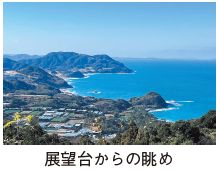 展望台からの眺めの写真