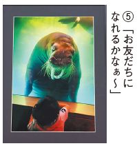 5　写真部門会長賞受賞作品「お友だちになれるかなぁ～」の写真