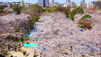 写真：福岡衛戌病院があった福岡城本丸跡