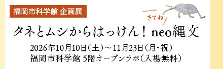 福岡市科学館　企画展「タネとムシからはっけん！neo縄文」