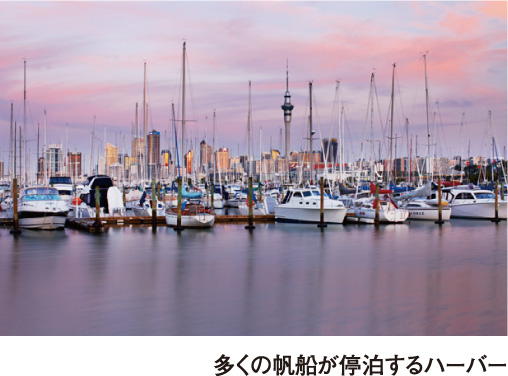 【写真説明】多くの帆船が停泊するハーバー