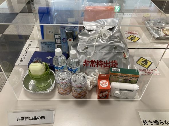 展示品の例