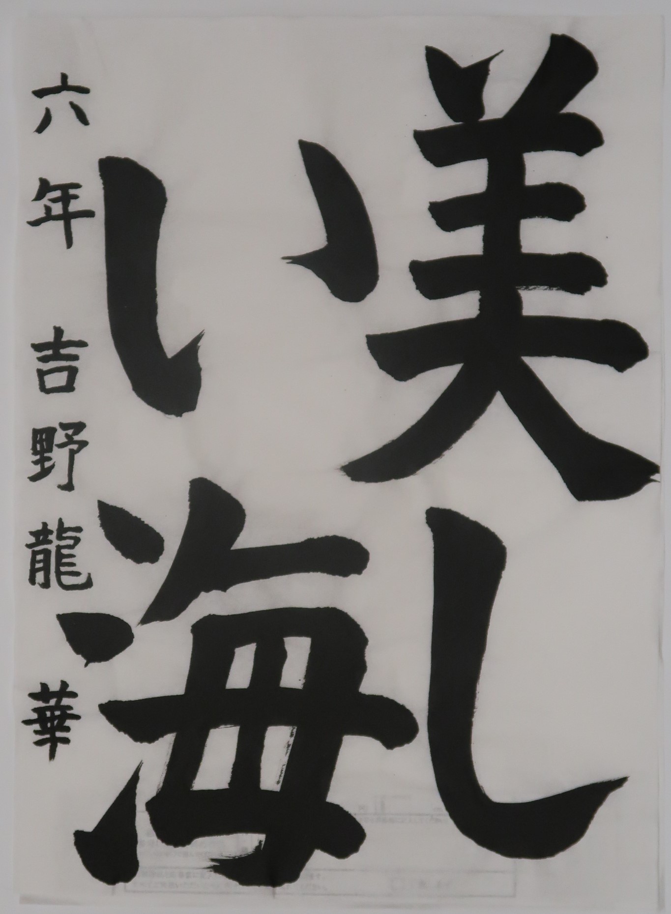美しい海