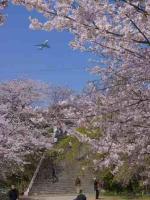 西公園