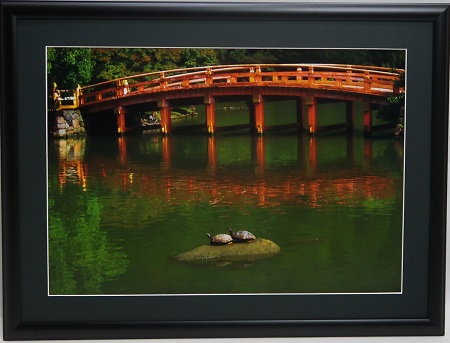 写真部門作品番号11の作品