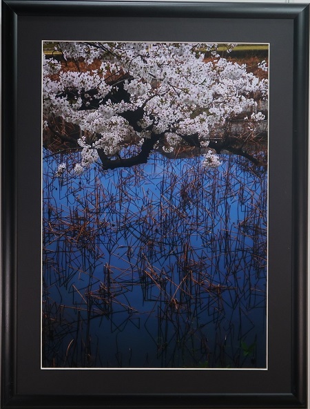 写真部門作品番号13の作品