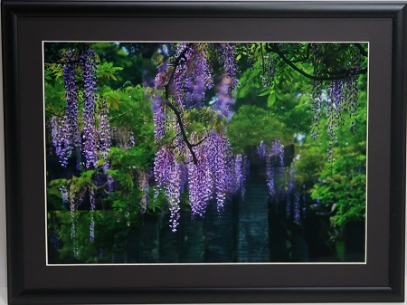 写真部門作品番号14の作品
