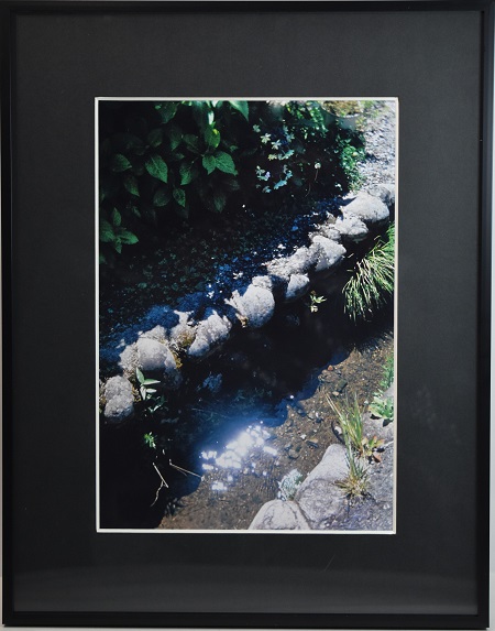 写真部門作品番号20の作品