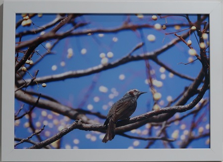 写真部門作品番号21の作品