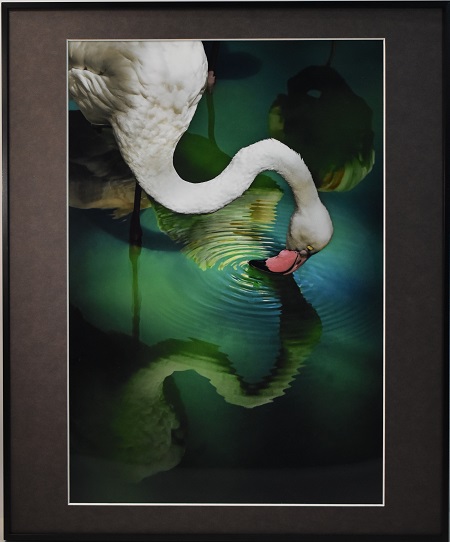 写真部門作品番号25の作品