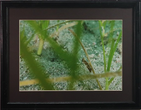 写真部門作品番号28の作品