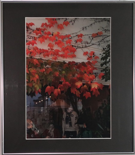 写真部門作品番号2の作品