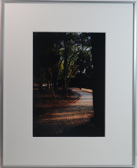 写真部門作品番号3の作品