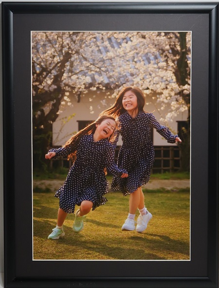 写真部門作品番号8の作品