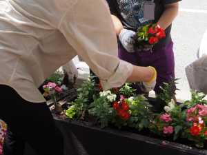 植花の写真