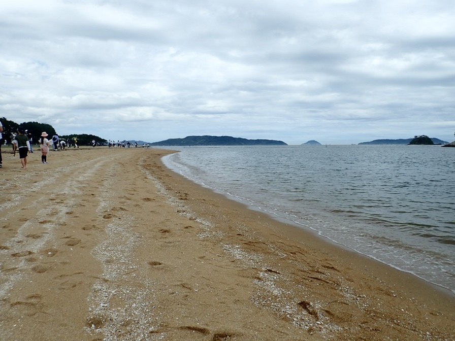 清掃後の福浜海岸の写真