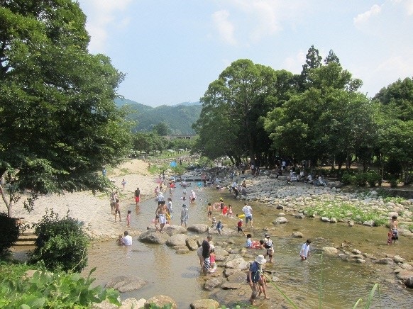 子どもたちが川遊びをしている中ノ島公園
