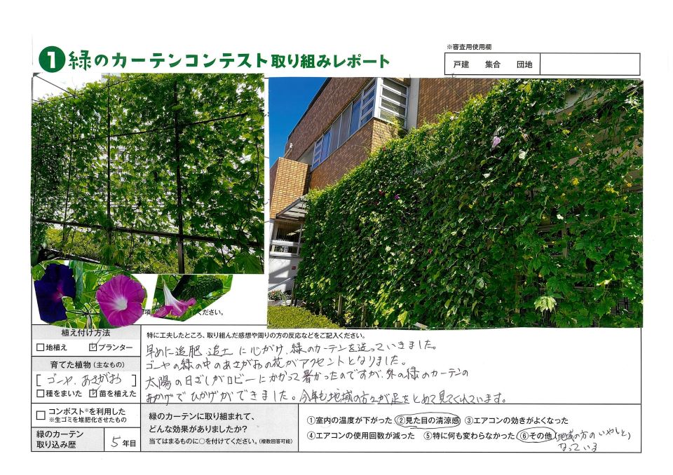 植え付け方法はプランター。育てた植物はゴーヤ、朝顔。緑のカーテン取り組み歴5年。一人一花賞、福岡市板付北公民館様の写真。