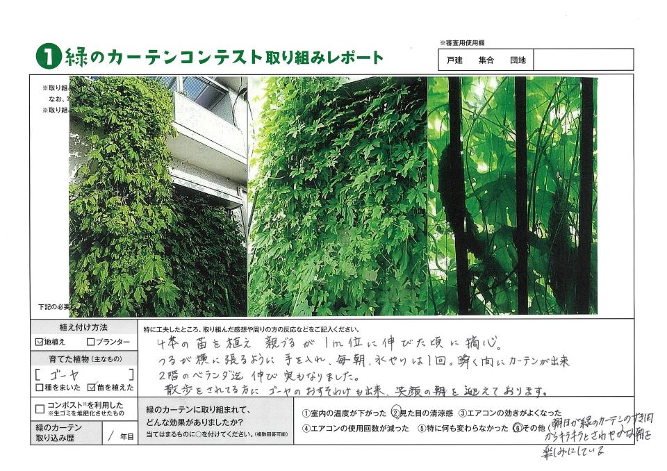 植え付け方法は地植え。育てた植物はゴーヤ。緑のカーテン取り組み歴1年。優秀賞、大塩禎子様の写真。