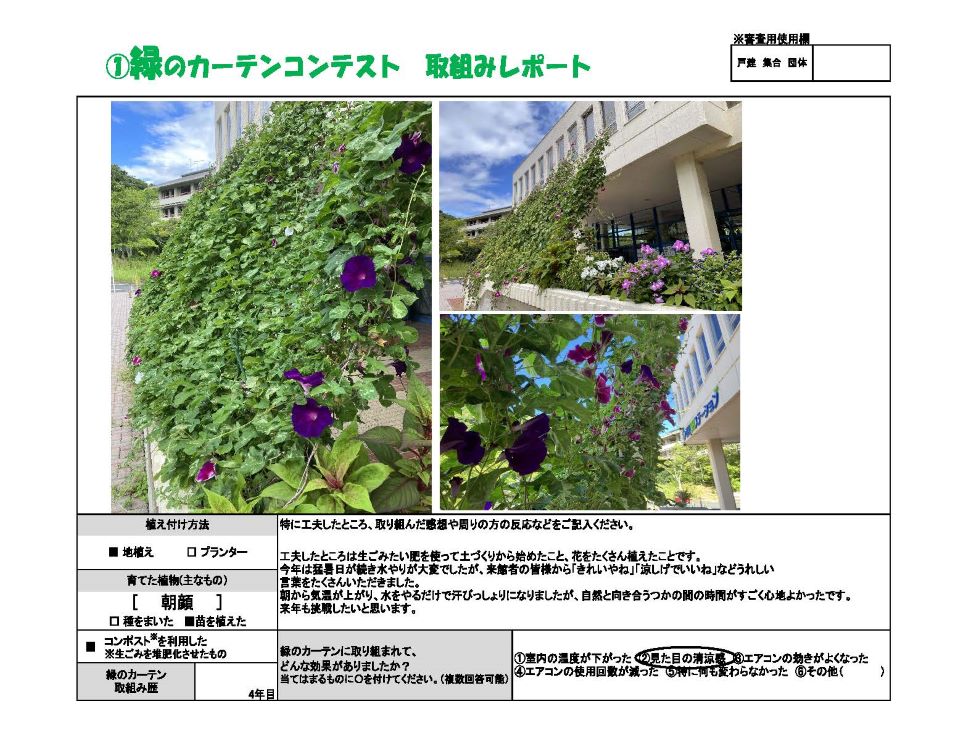 植え付け方法は地植え。育てた植物は朝顔。緑のカーテン取り組み歴4年。優秀賞、福岡市西部３Rステーション　様の写真。