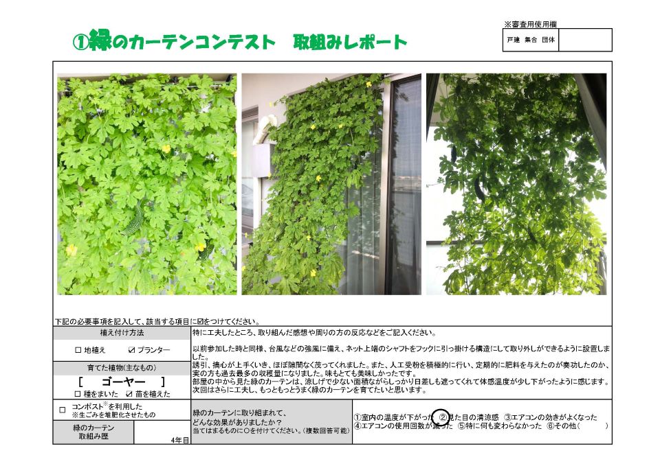 植え付け方法はプランター。育てた植物はゴーヤ。緑のカーテン取り組み歴4年。優秀賞、　K・A　様の写真。