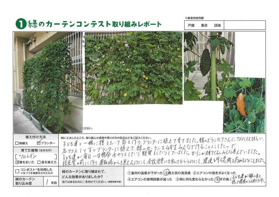 植え付け方法はプランター。育てた植物はツルレイシ。緑のカーテン取り組み歴4年。新人賞、福岡市立当仁小学校1年　様の写真。