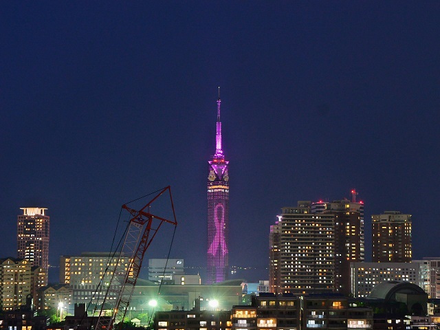 ピンクにライトアップされた福岡タワー（遠景）