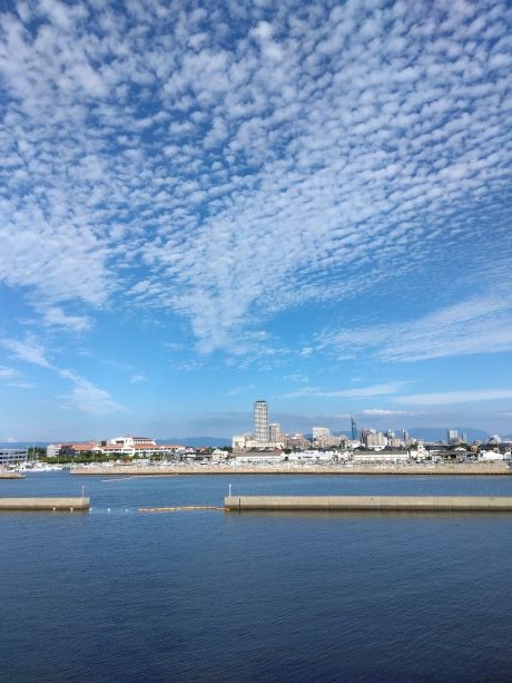 マリノアシティ福岡のヨットハーバーから対岸を臨む写真